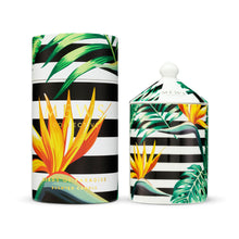 Load image into Gallery viewer, Mews Hand-Poured & Custom Designed Birds of Paradise Scented Reed Diffuser